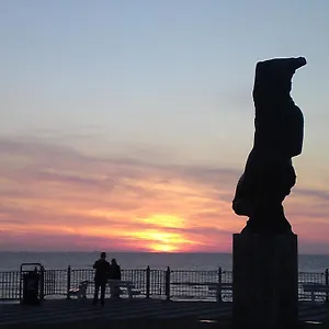 Flamingo Zandvoort
